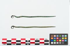 Foto von Bronzerollenkopfnadel (NHMW-PRAE-025009)